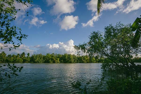 关于91在线的一个误会：这不是催泪，是把人慢慢拧紧